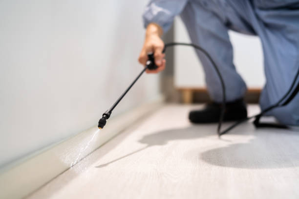 Bed Bug Pre-Treatment Preparation Assessment in New York Mills