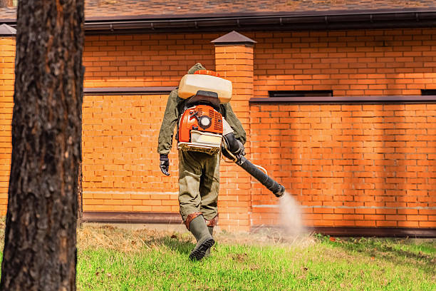 Bed Bug Clearance Verification and Documentation in New York Mills